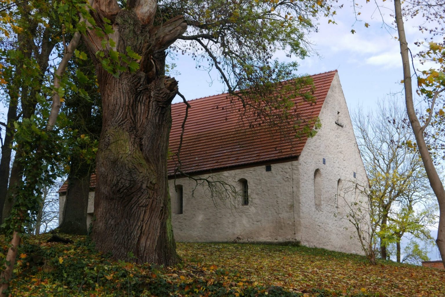 Veranstaltungen Pomellen